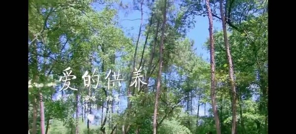 于正承包青春古装BGM,从爱的供养到雪落下的声音