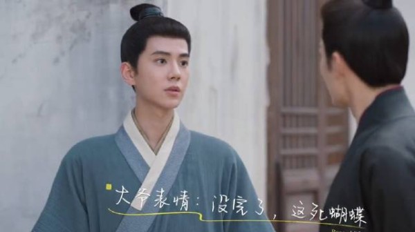 林锦岐每天带鹤和孔雀出门,守韩府门前整理衣装见兰香