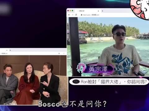 黄宗泽说吴卓羲是动物界大佬,吴卓羲有很多小动物