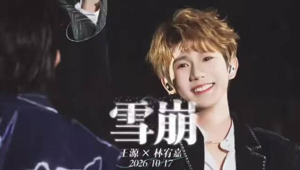 陪男友看林宥嘉却爱上王源