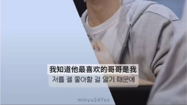 对话透露自信底气 长颈鹿坚信是仓鼠最爱的哥哥