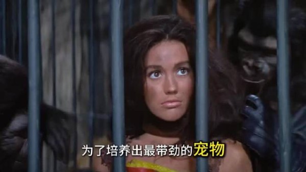 星河倒转越千年 猿族城中人作畜故园已他人田