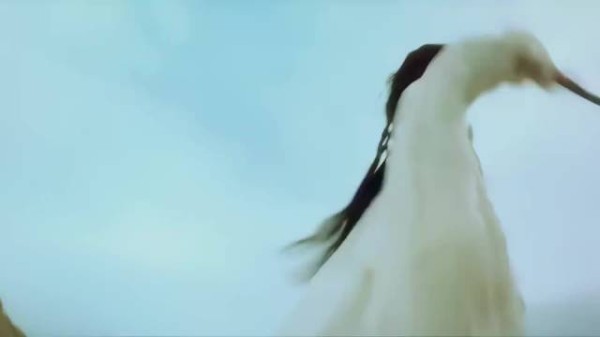 阴柔和娘炮可不是一回事！侠气和阴柔相结合！中国的武侠太赞了！