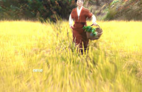 这个bgm好好睡……不知不觉老田耕了这么多戏了
