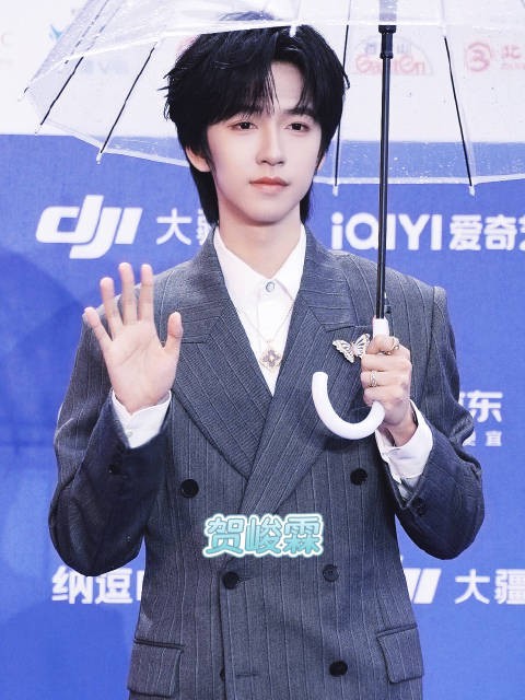 20260416北影节开幕红毯，贺峻霖