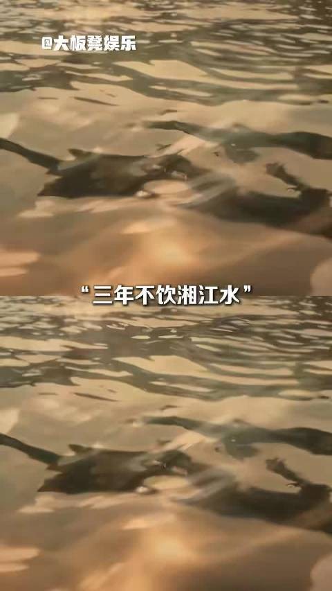 再次看到《伟大的长征》中拍出的湘江战役,还是会忍不住落泪