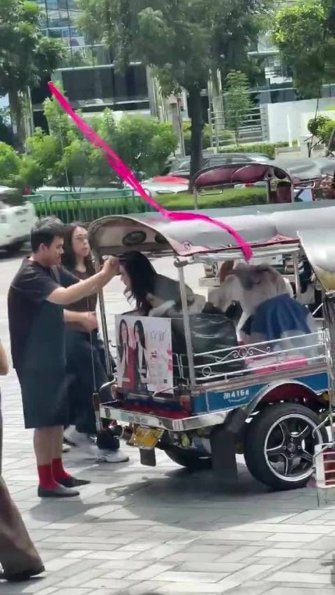 细心的迪儿