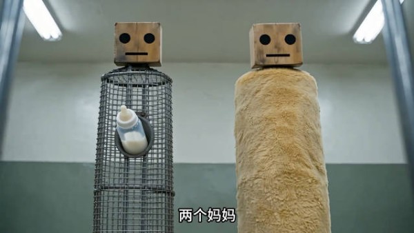 有奶的妈妈它不要，偏死死抱着一块没奶的破布！