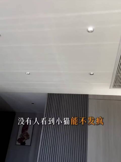 谁还不知道田曦薇写的小猫歌
