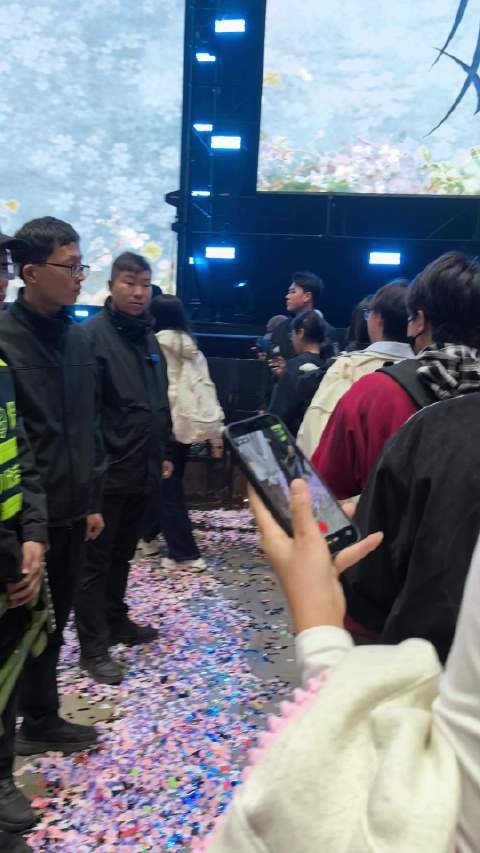 第一朵断掉的向日葵