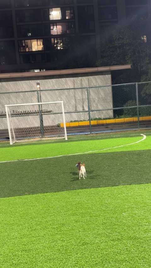 朴朴买4斤果肉蛮多 幸运之子宅家看等了一周的剧